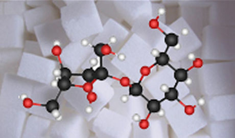 Chemistry of Macromolecules